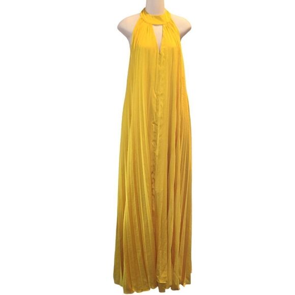 ANTHROPOLOGIE Hutch Halted Pleated Maxi Dress 1X NWT Pockets - Picture 7 of 16